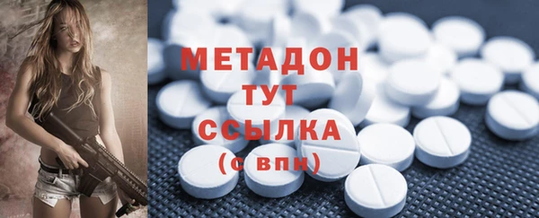 молекула духа Вяземский