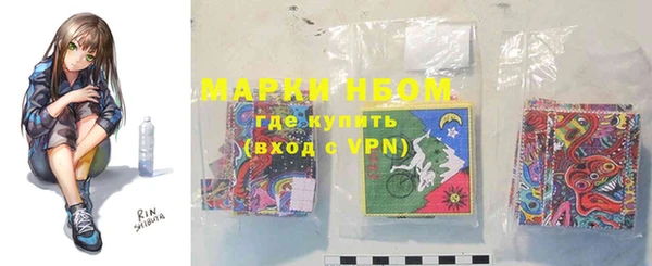 молекула духа Вяземский