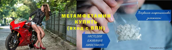 молекула духа Вяземский
