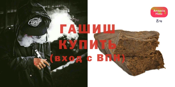 молекула духа Вяземский