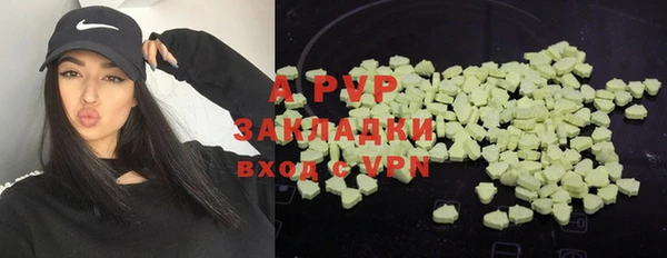 молекула духа Вяземский