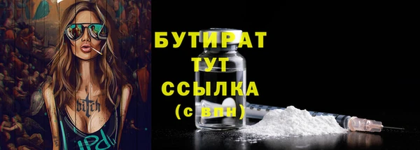 молекула духа Вяземский