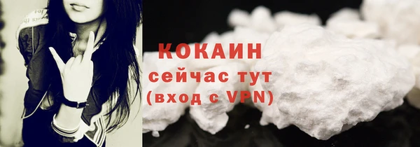 молекула духа Вяземский