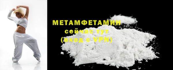 молекула духа Вяземский
