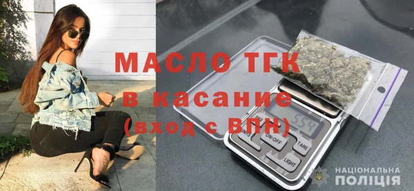 молекула духа Вяземский