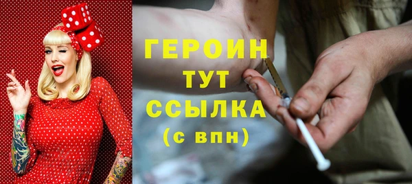 молекула духа Вяземский