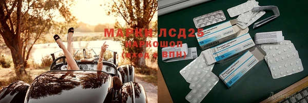 молекула духа Вяземский