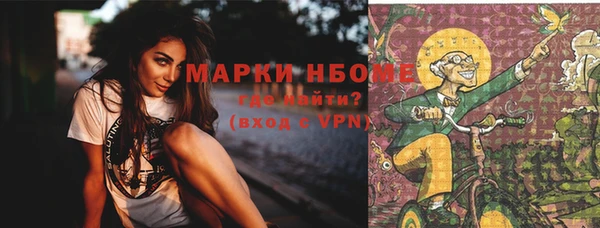 молекула духа Вяземский