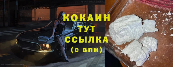 молекула духа Вяземский