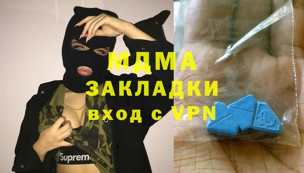 молекула духа Вяземский