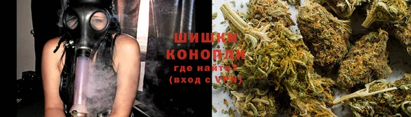 молекула духа Вяземский