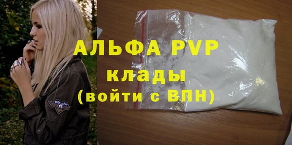 молекула духа Вяземский