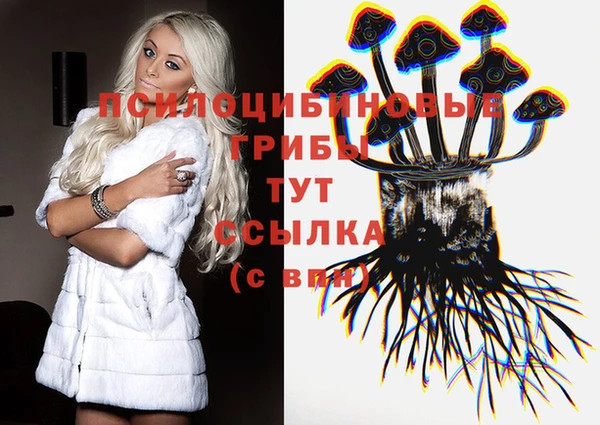 молекула духа Вяземский