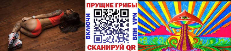 Псилоцибиновые грибы мицелий  Купить закладки  Киреевск 