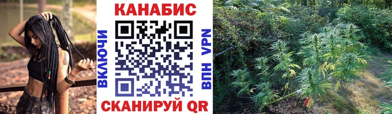 Каннабис семена  Купить  Киреевск 